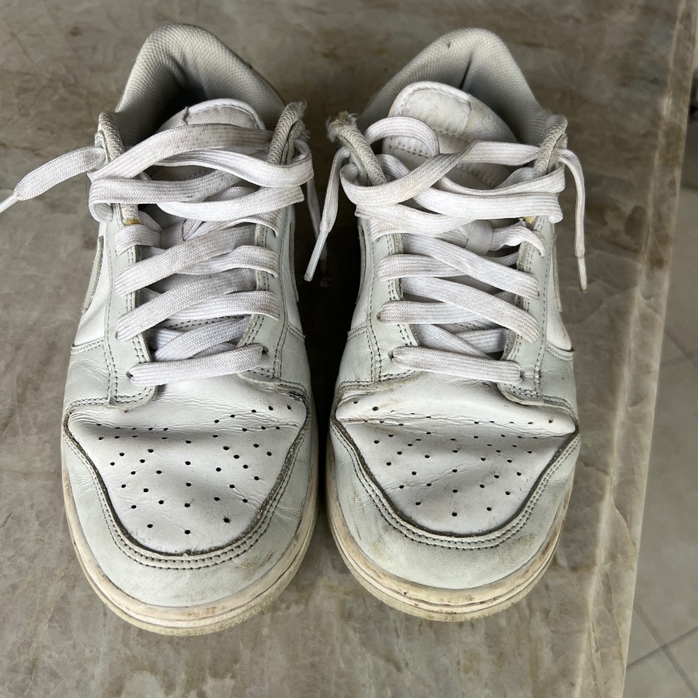 Nike Grey Fog Dunks Low Top
